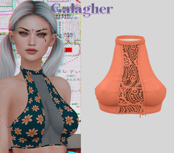 Galagher - Babi Top Edition 7