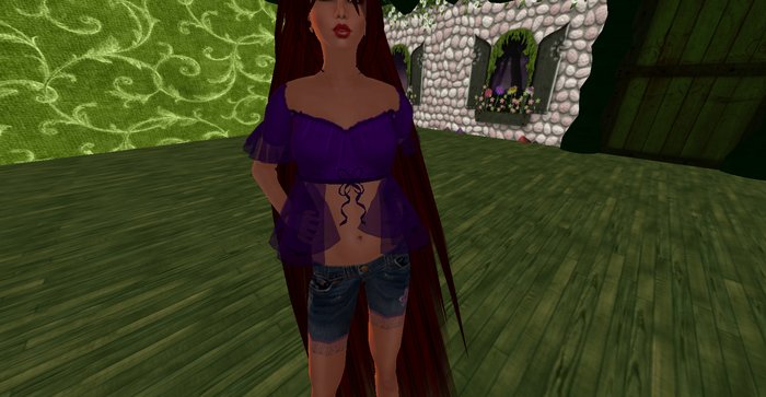 ALMOST FREE! WHIMSY'S ROMANTIC  PURPLE  PEASANT SHIRT TOP 