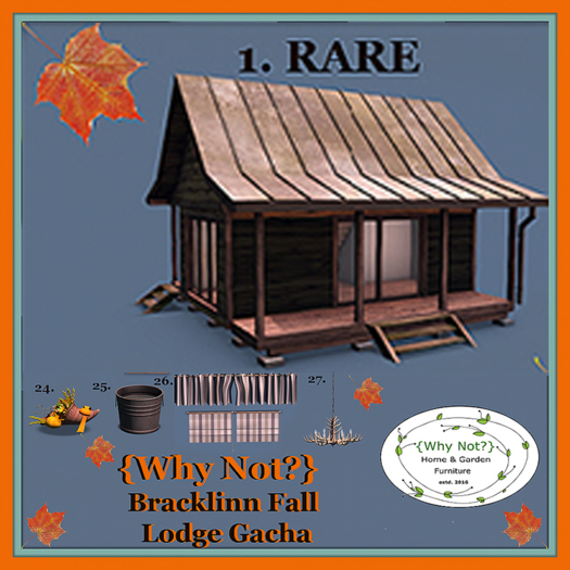 01.{Why Not ?} Bracklinn Fall Lodge RARE