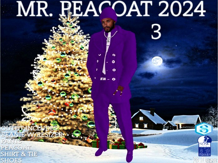 (SF) Mr. Peacoat 3 2024