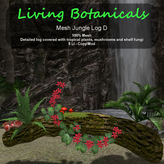 Inochi Botanicals - Jungle Log D
