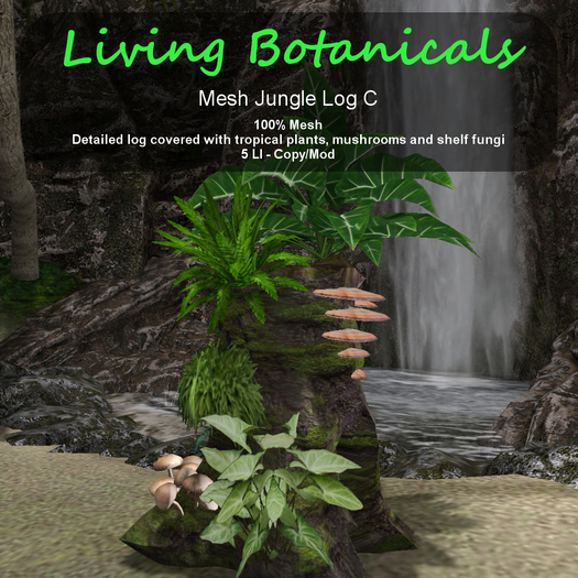 Inochi Botanicals - Jungle Log C