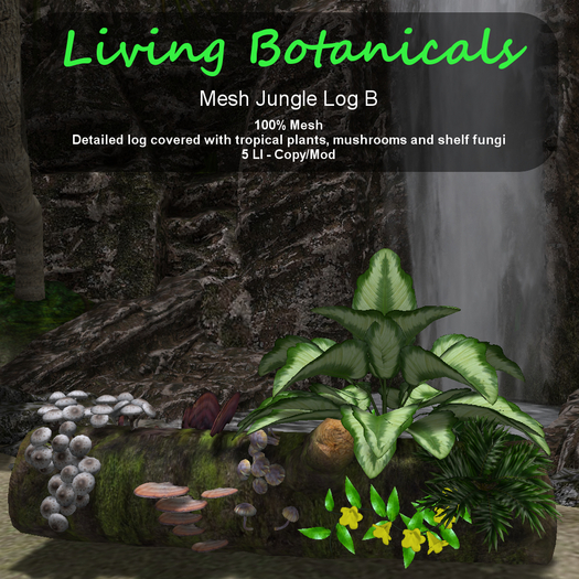 Inochi Botanicals - Jungle Log B