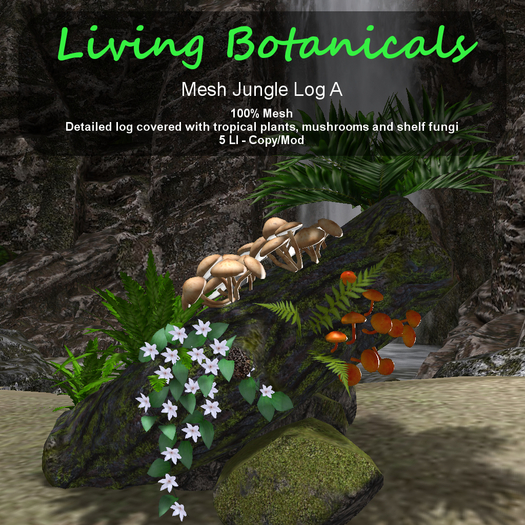 Inochi Botanicals - Jungle Log A
