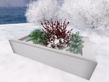 Flower Box - Winter