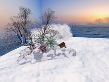 Sleigh Accident - Winter Decoration