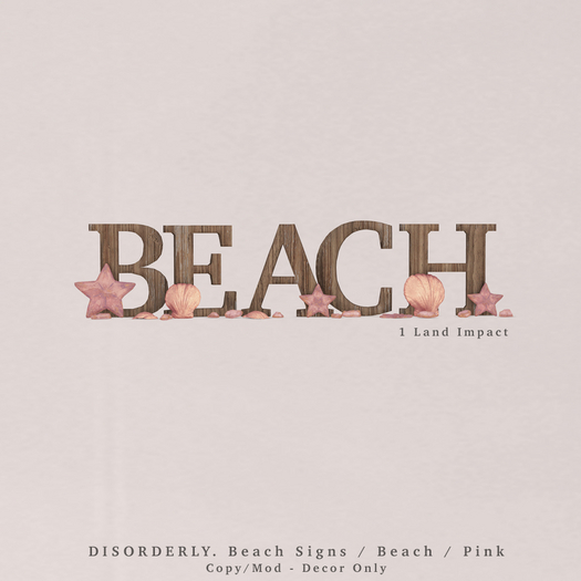 DISORDERLY. / Beach Signs / Beach / Pink