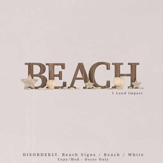 DISORDERLY. / Beach Signs / Beach / White