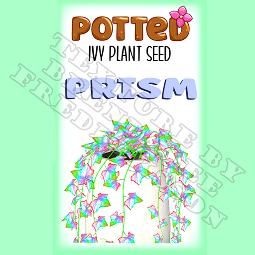 Potted: Ivy Plant Seed: Prism (ACTUAL PLANT SEED) - Retired!