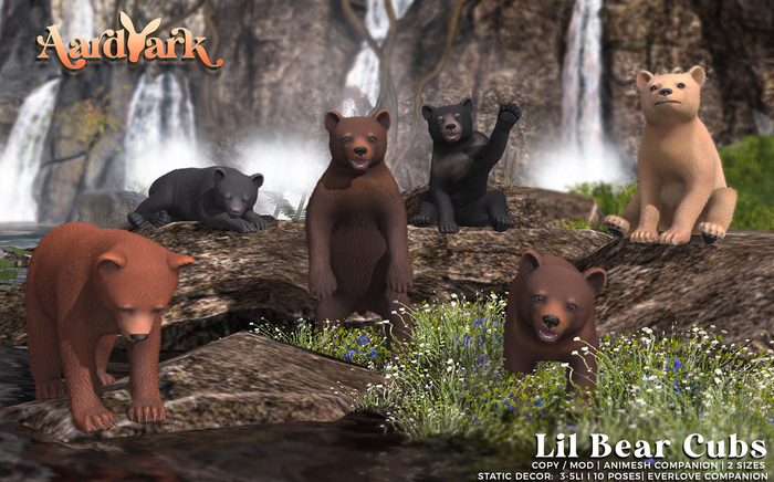 Aardvark : Lil Bear Cub - FATPACK 