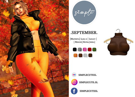 /simpleCUTE/  Sept [Top] Brown  /ADD ME//