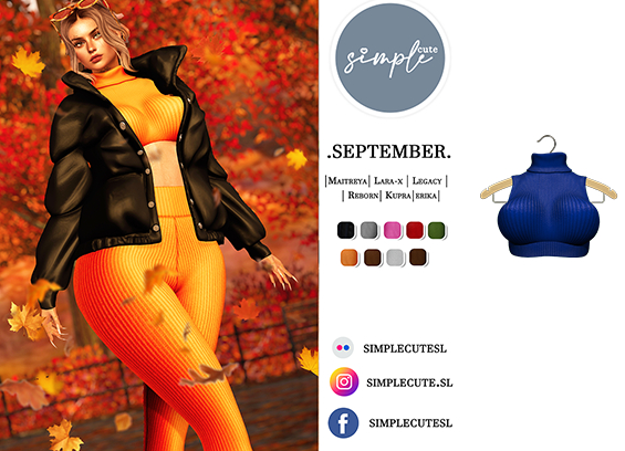 /simpleCUTE/  Sept [Top] Blue  /ADD ME//