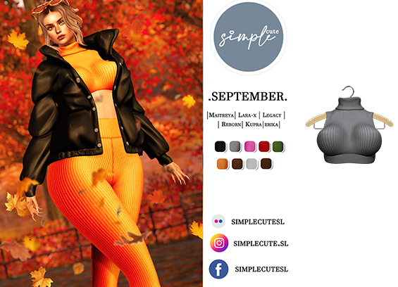 /simpleCUTE/  Sept [Top]  Grey  /ADD ME//