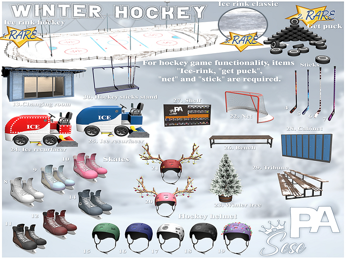 3. Sese & PA - Winter Hockey - Ice rink classic RARE