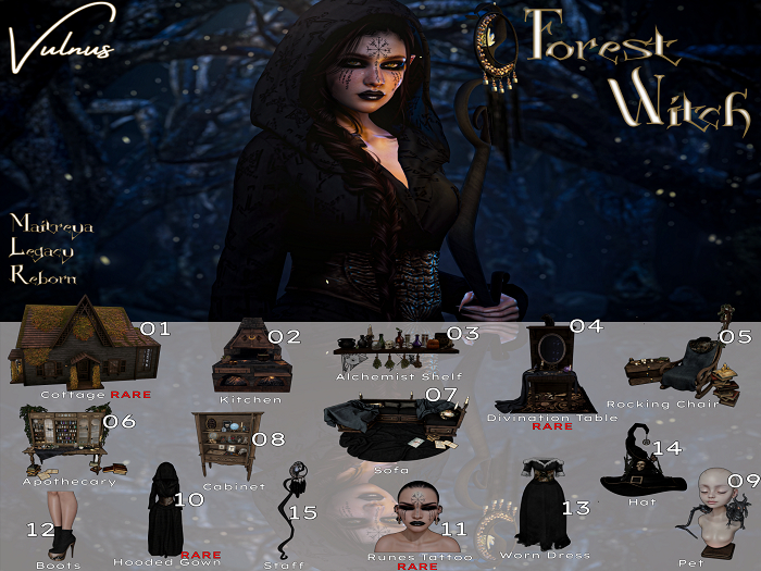 1. Vulnus Forest Witch Cottage RARE