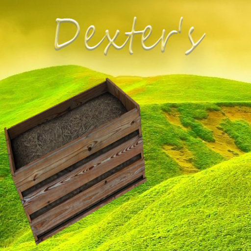 CHESTNUT ANDY TIGERS EYE F