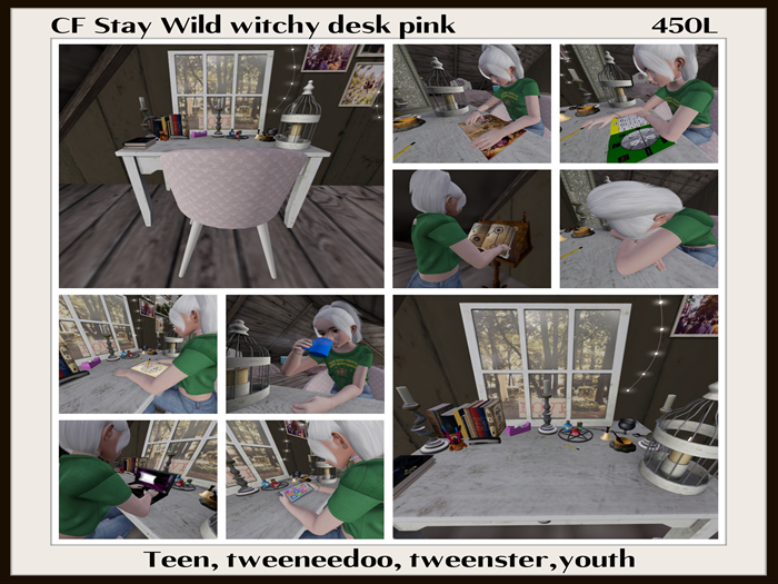 CF Stay Wild Witchy desk pink ((add & touch))