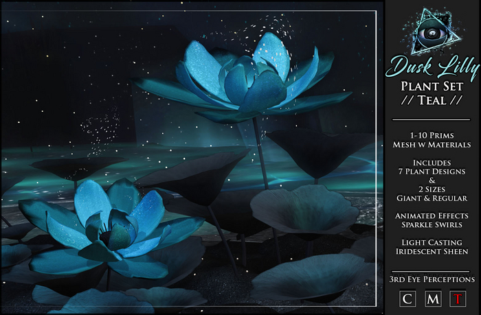 Dusk Lilly // Teal Set