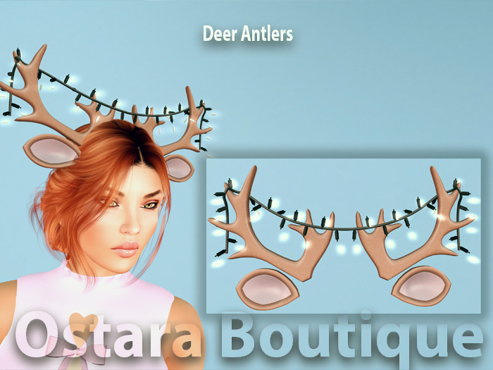Deer Antlers 