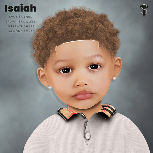 TURVI // Isaiah Skin "ALMOND" (GENUS)