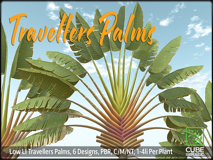 PBR Travellers Palms, mesh tropical  trees for landscaping beach jungle garden
