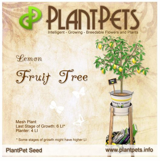 PlantPet Seed [Fruit Tree *Lemon*]