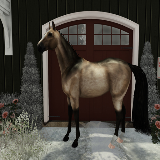 ~WW~ Sooty Buckskin V2 Variant