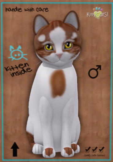 KittyCatS Box - Genesis - Flame V - boo boo Boy