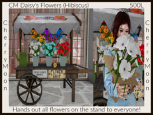 CM Daisy's Flowers (Hibiscus) ((add & touch))