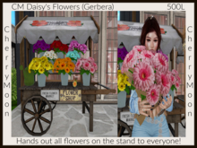 CM Daisy's Flowers (Gerbera) ((add & touch))