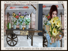 CM Daisy's Flowers (Daisies) ((add & touch))