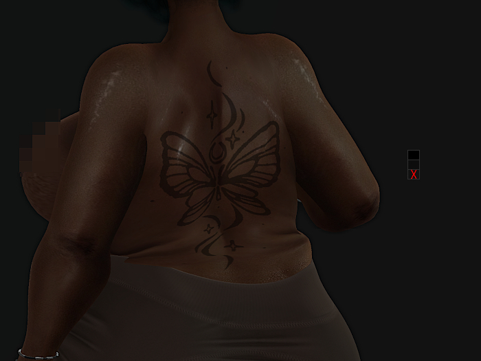 Butterfly Back Tattoo!