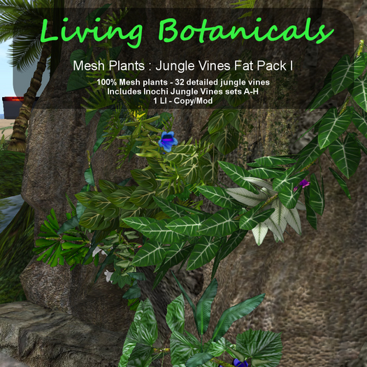 Inochi Botanicals - Jungle Vines Fat Pack I