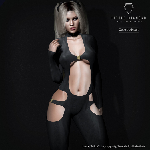 -LD- Cece Bodysuit DEMO