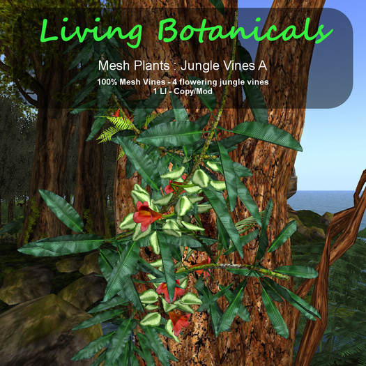 Inochi Botanicals - Jungle Vines A