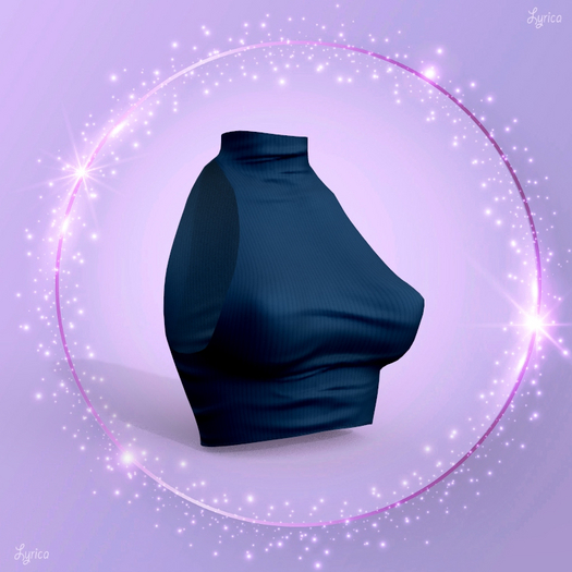 Navy Ramy Top Legacy