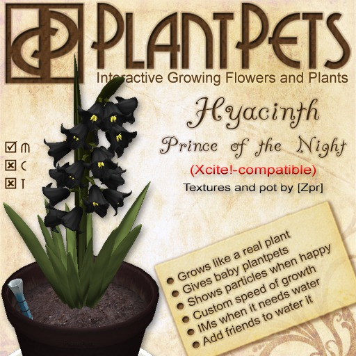 PlantPet Seed [Hyacinth *Prince of the Night*] RARE