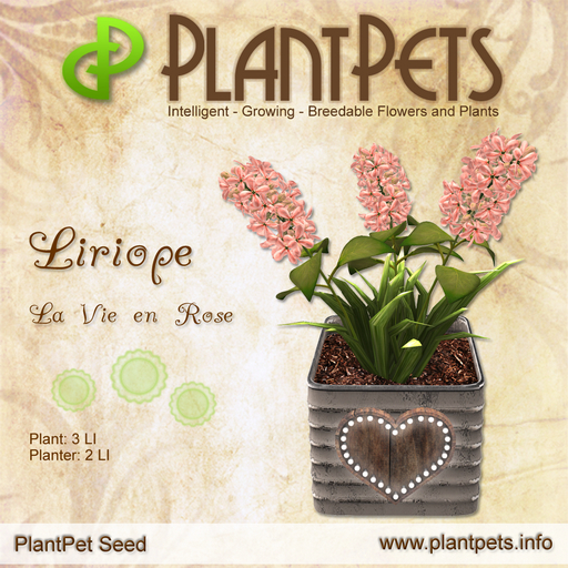 PlantPet Seed [Liriope *La Vie en Rose*]