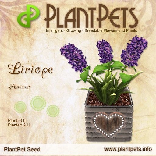 PlantPet Seed [Liriope *Amour*]