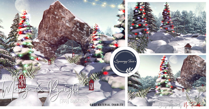 Synnergy.Tavis// Merry & Bright {360} Backdrop