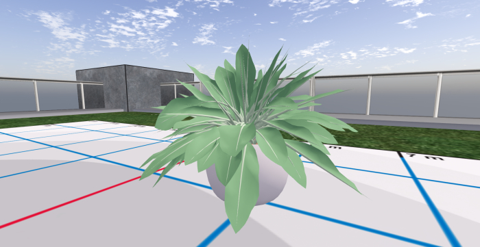 plant