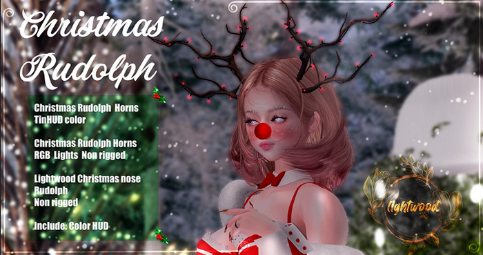 Lightwood Christmas Rudolph (BOX ADD)