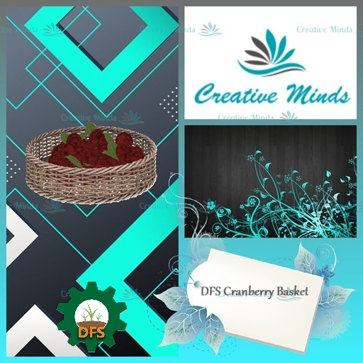 DFS Cranberry Basket (4) (Actual Item)