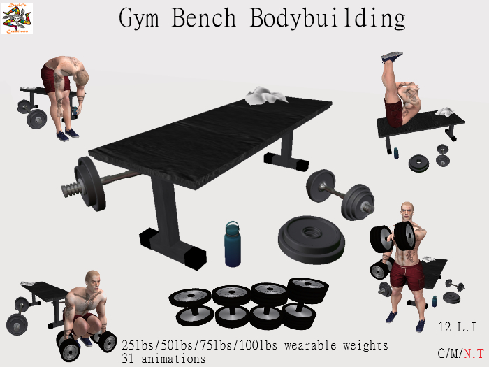 Gym Bench Bodybuilding 
