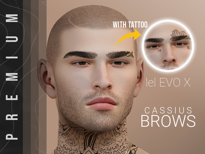 Premium - Cassius - Brow