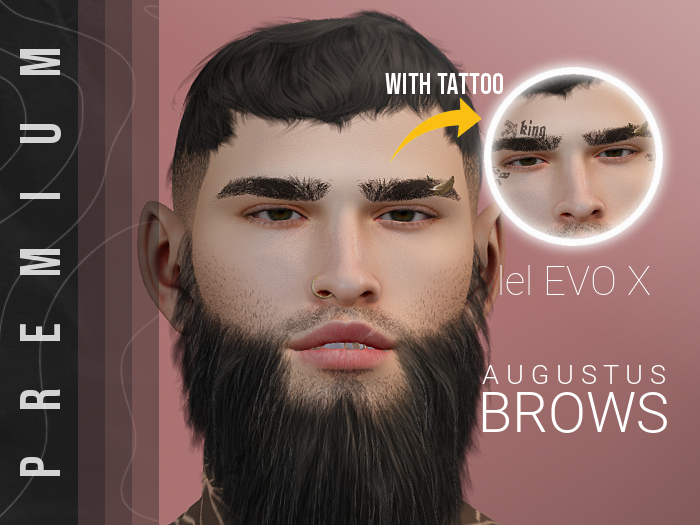 Premium - Augustus - Brow
