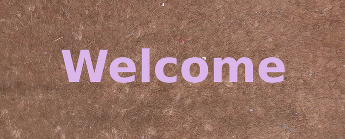 $ Musical Door Mat w Bells V6