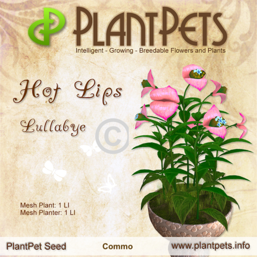 Plantpet Seed Hot Lips *Lullabye* Common