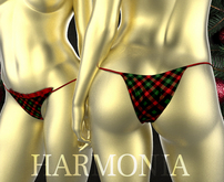 Plaid Christmas Chloe Panty Legacy