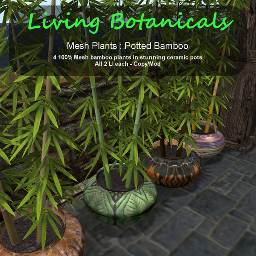 Inochi Botanicals - Mesh "Potted Bamboo"